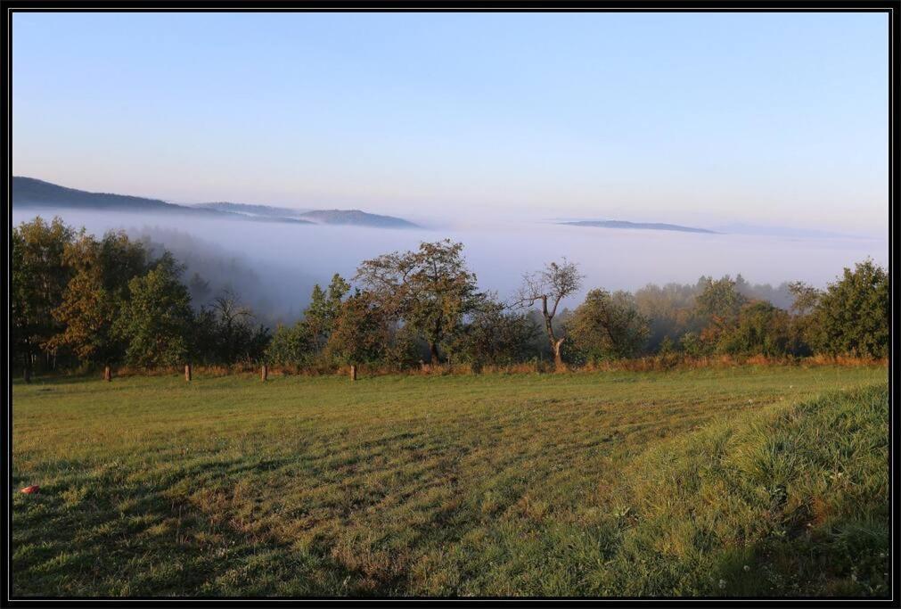 Swiety Spokoj Palesnica Bagian luar foto