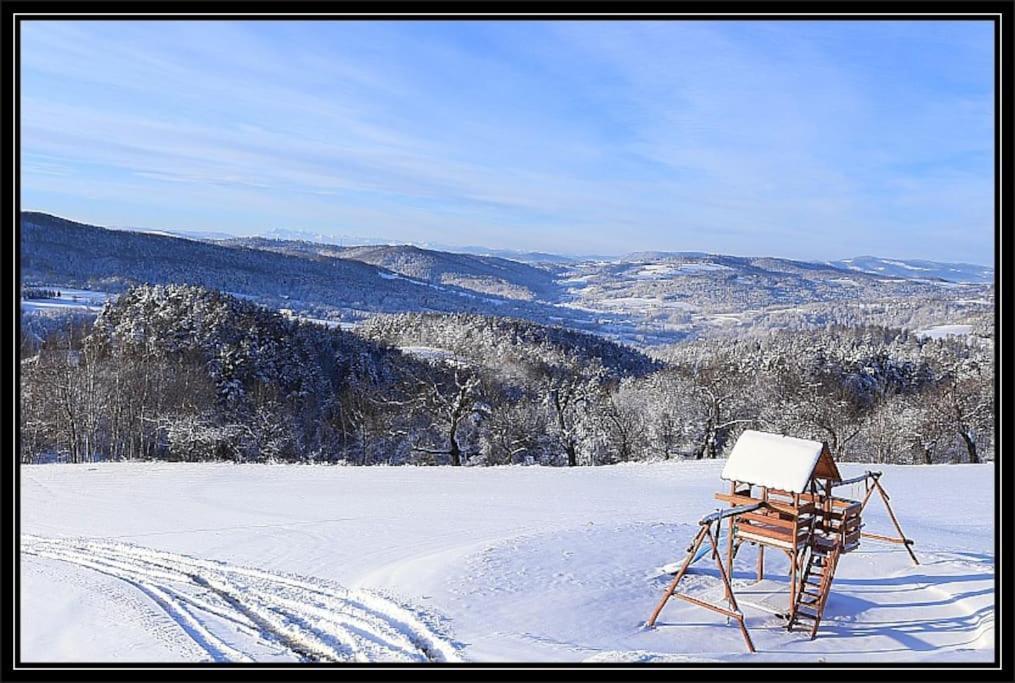 Swiety Spokoj Palesnica Bagian luar foto